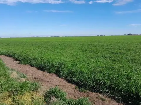 Campo en venta - 33.800.000Mts2 - San Cayetano