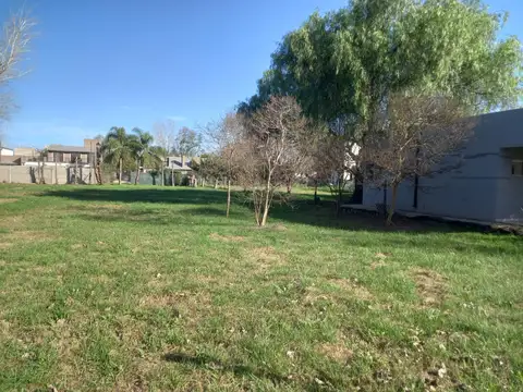 Terreno San Benito entre Casilda y Talacasto (ROLDAN)