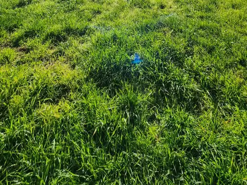 Terreno en Venta en Santa Clara del Mar, USD 45.000