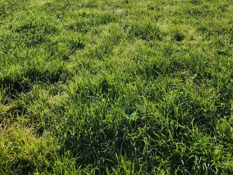 Terreno en Venta 10  mts Frente