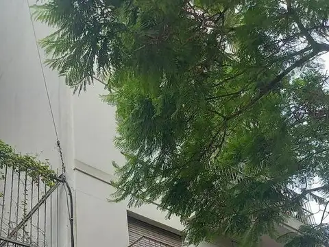 Departamento en Alquiler en San Telmo, $ 520.000