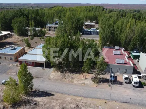 Terreno en venta añelo vaca muerta la forestada