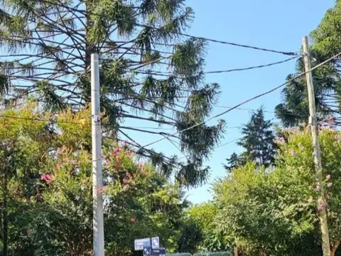 Terreno en Venta de 292,0 m2