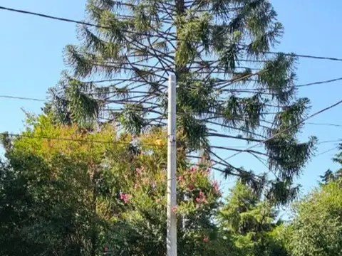 Florida