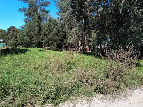 Estancia Vivorata