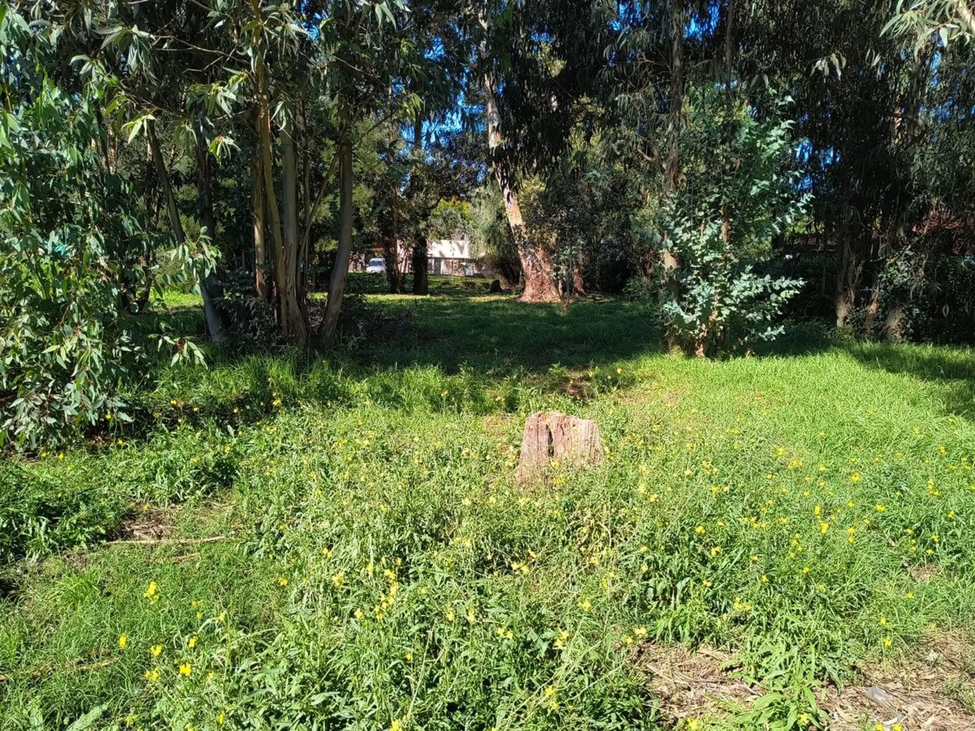 VENTA LOTE 700 MTR2 - SANTA CELINA