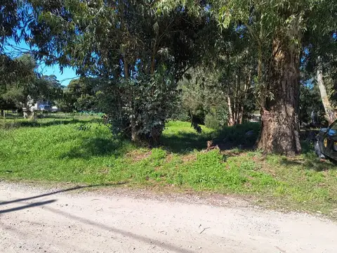 Terreno en Venta de 700,0 m2