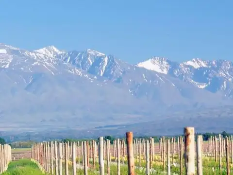 Terreno en Venta en Tupungato, USD 35.000