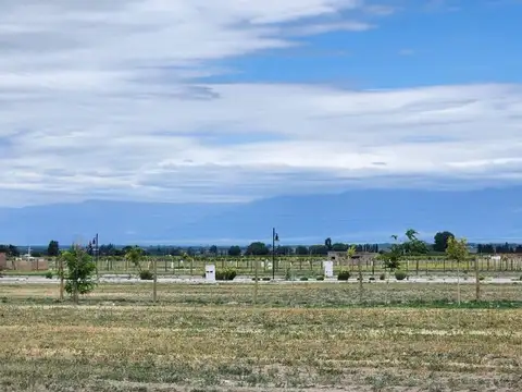 Terreno en Venta de 1000,0 m2