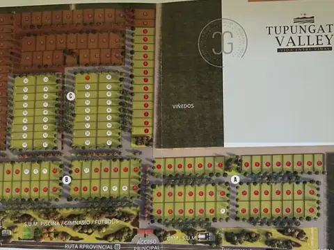 Terreno en Venta en Tupungato, USD 35.000