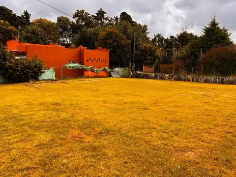 Parque Sakura. Jose Ingenieros 200