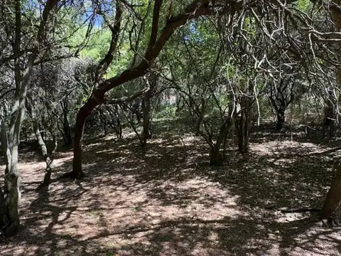 Terreno en Venta de 2000,0 m2