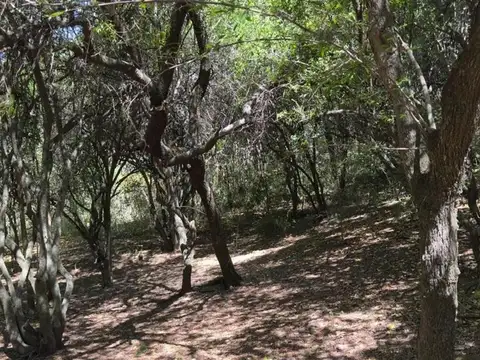 Terreno en Venta en Río Cuarto, USD 40.000
