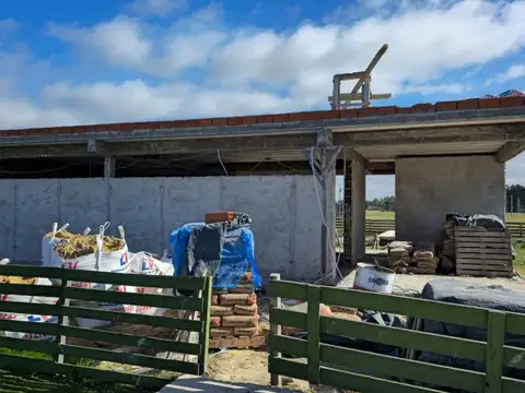 Ruta 58 y Arturo Capdevilla 100