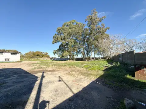 Galpon en Venta en Tandil, USD 310.000