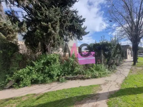Alta Gracia al 300