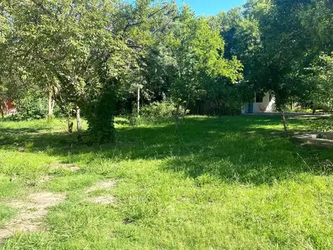 Uriburu