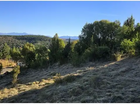 Terreno en Venta de 1432,81 m2