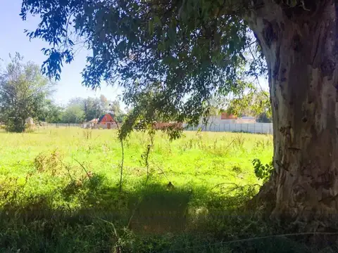 Intendente Luis Tulissi e/ Iguazu y Humberto Primero