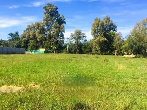 Terreno en venta - 1.612Mts2 - Francisco Alvarez