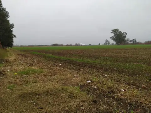 19 HA, CERCA DEL PUEBLO!