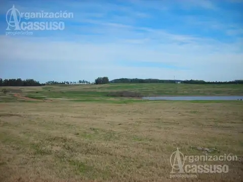 Terreno en Venta en Maldonado, USD 175.000