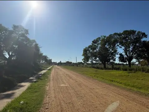 Magnasco Y Federacion