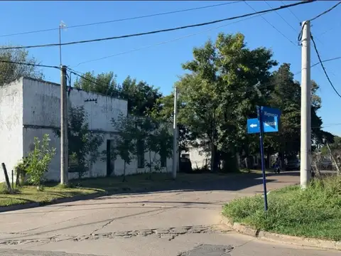 Magnasco Y Federacion