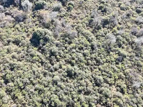 Terreno en Venta de 8000,0 m2