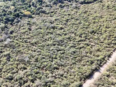 VENTA TERRENO 8000 M2 LA FALDA FINANCIADO CUOTAS