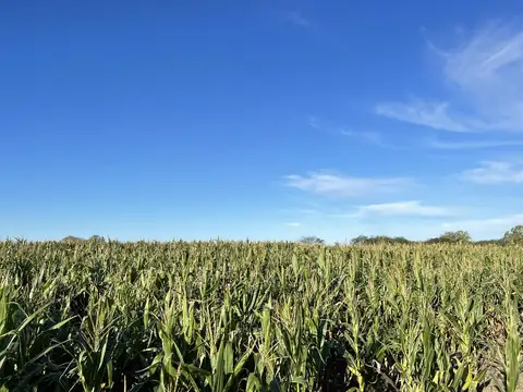 Venta Campo en Lobos 15,5has