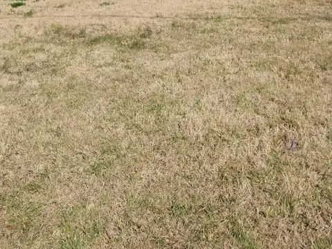 Av. Aristobulo Del Valle