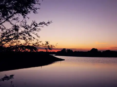 Terreno en Venta de 1000,0 m2