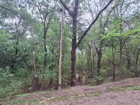 Av.la Castellana 100