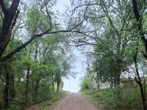 Terreno en Venta de 3805,0 m2