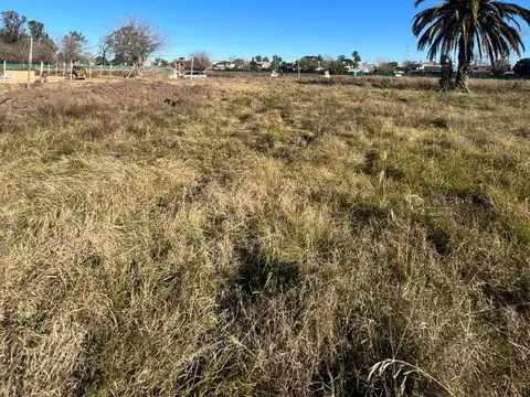 Terreno en Venta de 600,0 m2