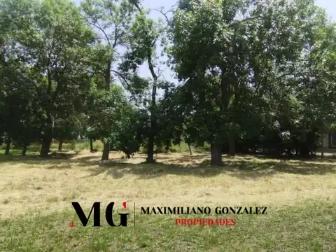 Terreno en Venta 15  mts Frente