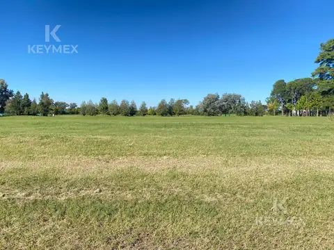 Terreno en Venta de 1600,0 m2