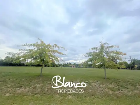 Altos de Campo Grande -