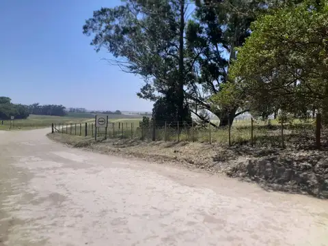 Terreno en Venta de 3704,0 m2