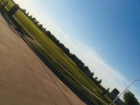 Leda Actis de Torasa al 600