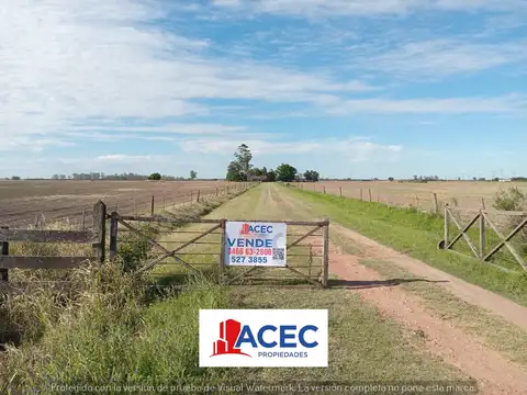 Campo de 3,4 has, sobre Ruta 91, Oliveros