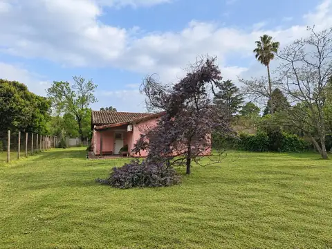 Saraví 2900