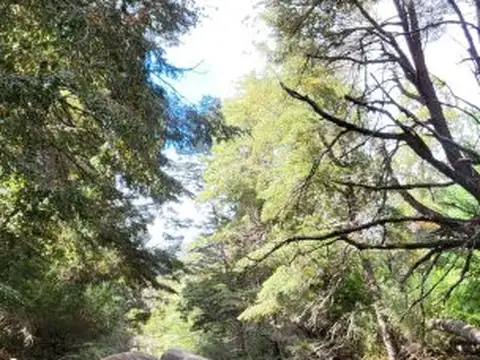 Terreno en Venta en Meliquina, USD 190.000