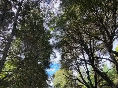 Terreno en Venta de 2575,0 m2
