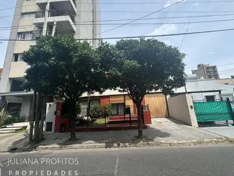 Alvear  1017