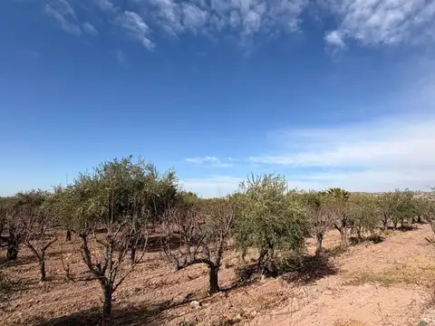 La Falda 200