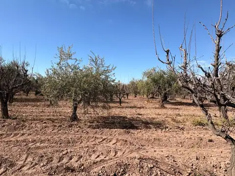 La Falda 200