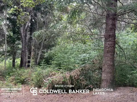 Terreno en Venta de 3100,0 m2