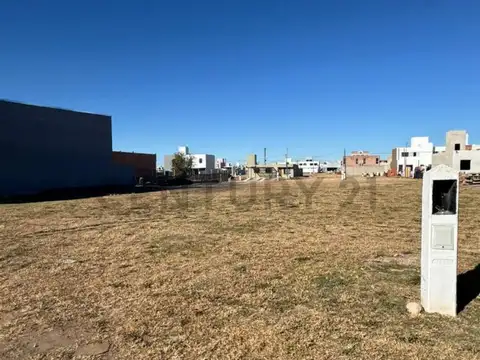 CALLE PUBLICA , Piso 0